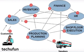 What is sap software