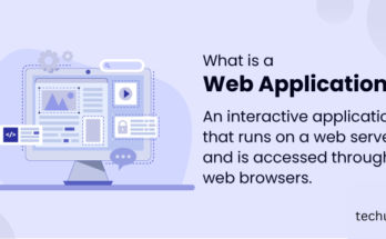 What is web Application